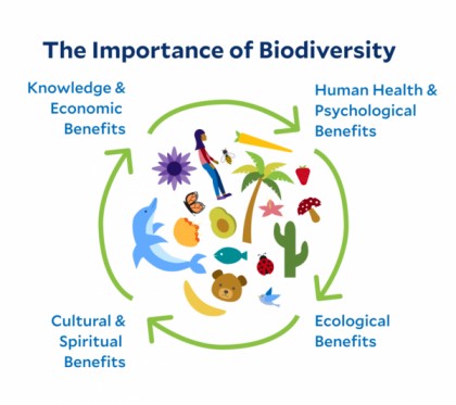 importance of biodiversity